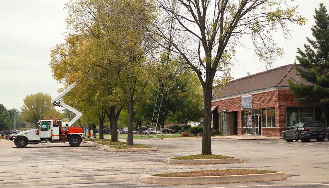 Commercial Tree Services in Fort Wayne, IN, professional tree service in Commercial Tree Services in Fort Wayne, IN, Indiana